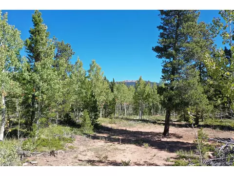 105 Road P62, Bailey, CO 80421 photo 15