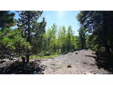 105 Road P62, Bailey, CO 80421 photo 28