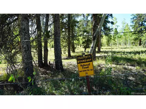 105 Road P62, Bailey, CO 80421 photo 22