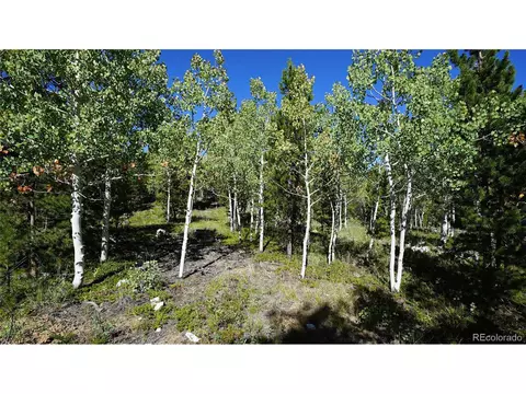 105 Road P62, Bailey, CO 80421 photo 18