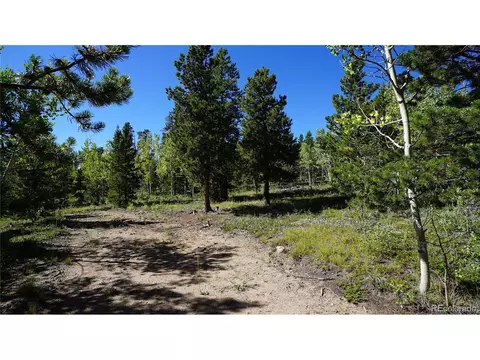 105 Road P62, Bailey, CO 80421 photo 19
