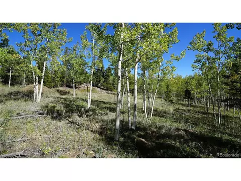 105 Road P62, Bailey, CO 80421 photo 20