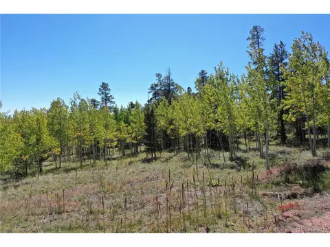 105 Road P62, Bailey, CO 80421 photo 7