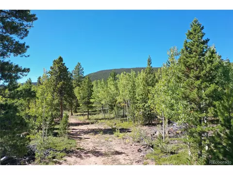 105 Road P62, Bailey, CO 80421 photo 3