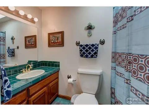 1016 Maureen Dr, Berthoud, CO 80513 photo 23