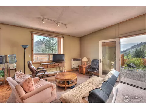 111 Antelope Dr, Lyons, CO 80540 photo 19