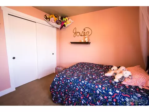 2134 Redhead Dr, Johnstown, CO 80534 photo 20