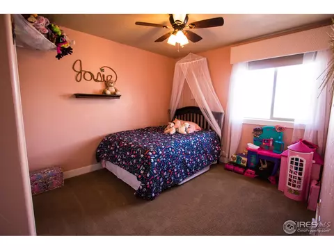 2134 Redhead Dr, Johnstown, CO 80534 photo 19