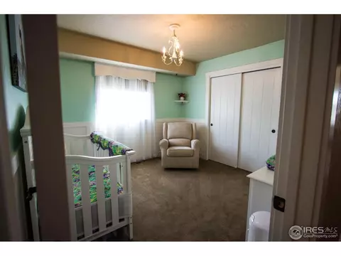 2134 Redhead Dr, Johnstown, CO 80534 photo 21