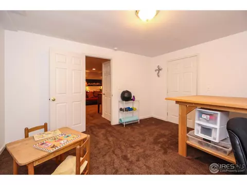 208 Poudre Bay, Windsor, CO 80550 photo 29