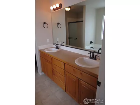 2174 Grain Bin Ct, Windsor, CO 80550 photo 13
