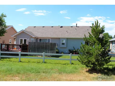 220 Whitney Bay, Windsor, CO 80550 photo 11