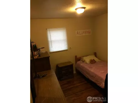 424 Rocha Way, Brighton, CO 80603 photo 4