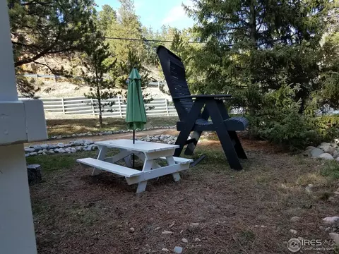 35 Riverside Dr, Lyons, CO 80540 photo 8