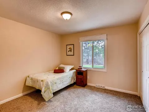 1048 Pinyon Ct, Windsor, CO 80550 photo 14