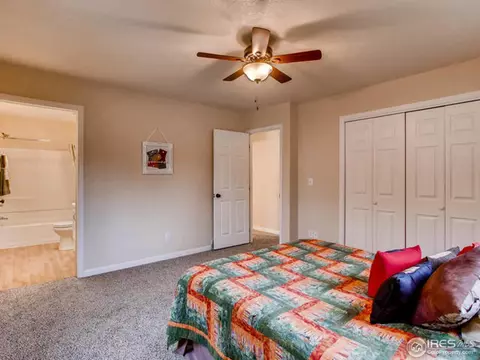 1048 Pinyon Ct, Windsor, CO 80550 photo 23