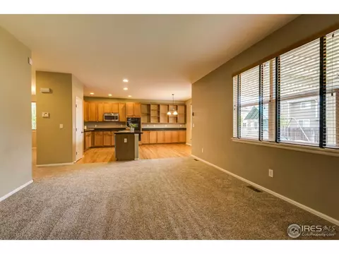 5587 Quarry St, Timnath, CO 80547 photo 6