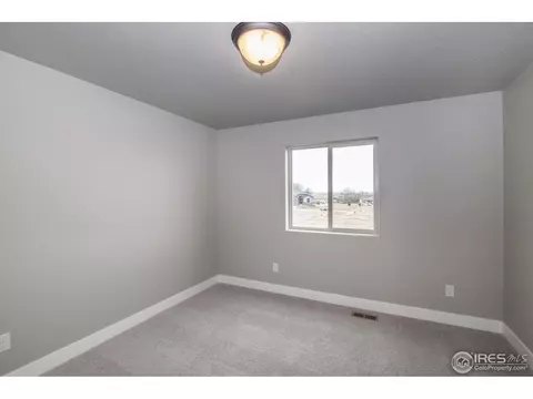 4357 Cicely Ct, Johnstown, CO 80534 photo 22