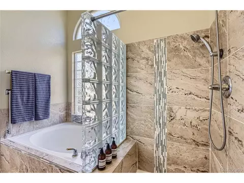 6861 Tiger Walk, Lone Tree, CO 80124 photo 15