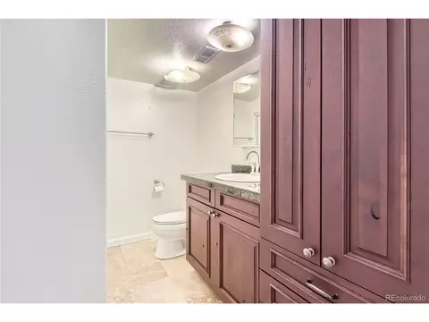 6861 Tiger Walk, Lone Tree, CO 80124 photo 23