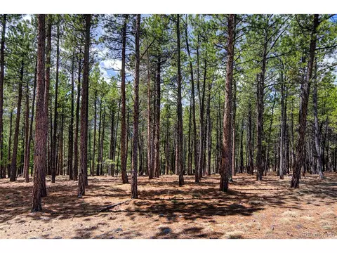 Undisclosed, Conifer, CO 80433 photo 40