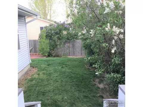 503 Broadview Dr, Severance, CO 80550 photo 18