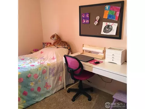503 Broadview Dr, Severance, CO 80550 photo 10