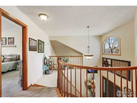 970 E 133rd Dr, Thornton, CO 80241 photo 13