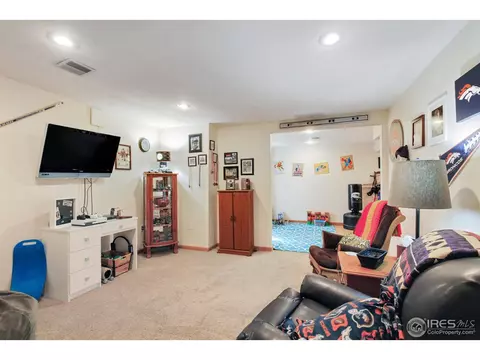 970 E 133rd Dr, Thornton, CO 80241 photo 21