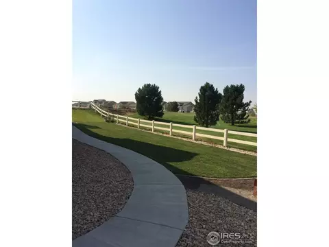 11291 Charles St, Longmont, CO 80504 photo 19