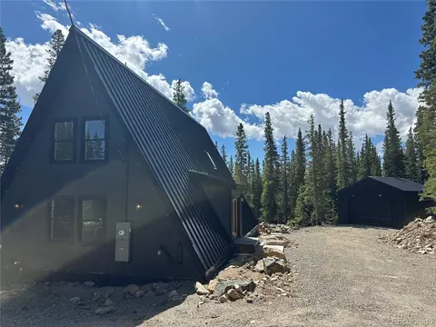 80 Valley Of The Sun Dr, Fairplay, CO 80440