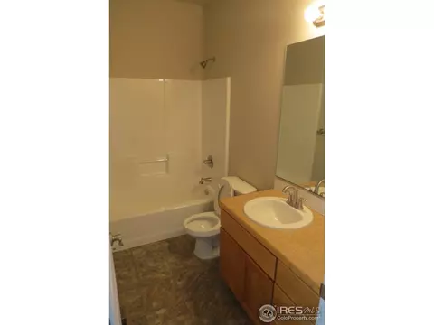 2176 Grain Bin Ct, Windsor, CO 80550 photo 15