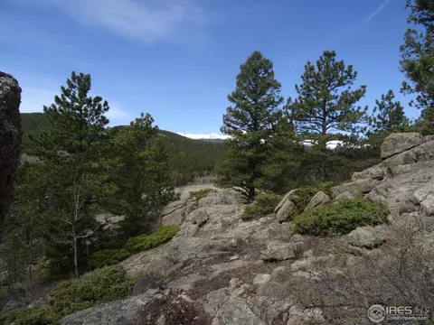35 Crestridge Rd, Ward, CO 80481 photo 33
