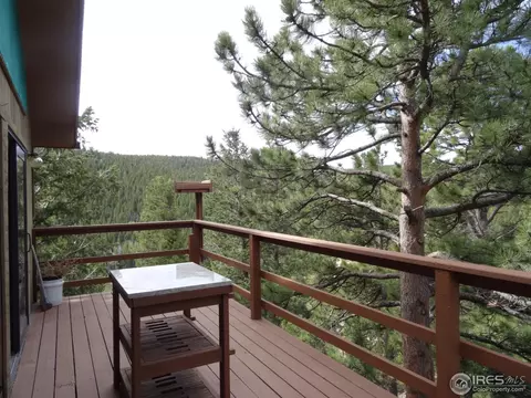 35 Crestridge Rd, Ward, CO 80481 photo 19