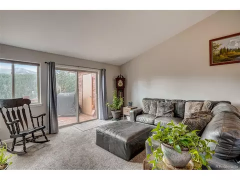 303 Virginia Rd, Bailey, CO 80421 photo 13