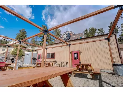 303 Virginia Rd, Bailey, CO 80421 photo 27