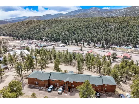 303 Virginia Rd, Bailey, CO 80421 photo 26
