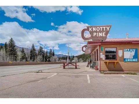 303 Virginia Rd, Bailey, CO 80421 photo 30
