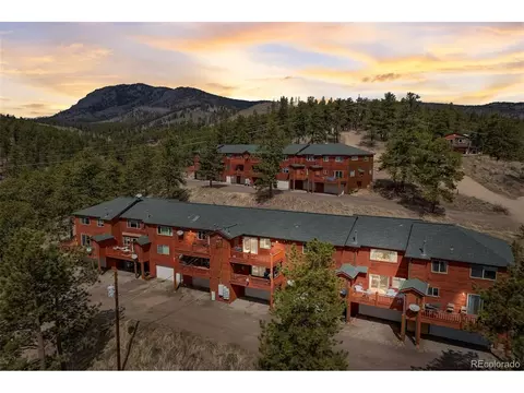 303 Virginia Rd, Bailey, CO 80421