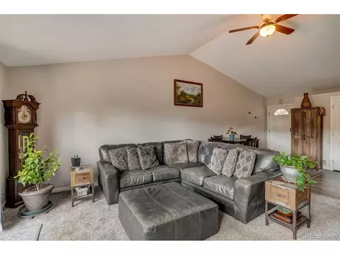 303 Virginia Rd, Bailey, CO 80421 photo 14