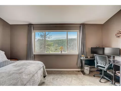 303 Virginia Rd, Bailey, CO 80421 photo 18