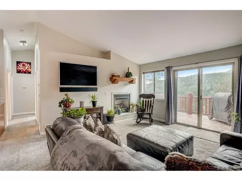303 Virginia Rd, Bailey, CO 80421 photo 12