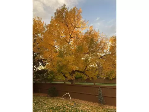 16119 E Prentice Ln, Centennial, CO 80015 photo 32