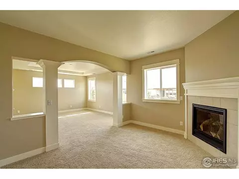 2265 Stonefish Dr, Windsor, CO 80550 photo 28