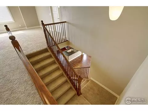 2265 Stonefish Dr, Windsor, CO 80550 photo 17