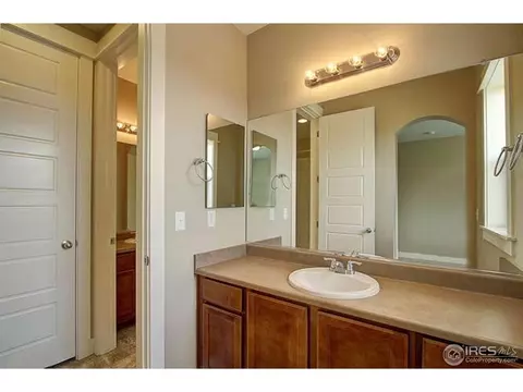 2265 Stonefish Dr, Windsor, CO 80550 photo 26