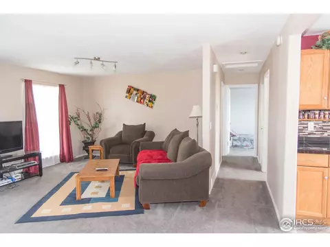 2682 E 98th Pl, Thornton, CO 80229 photo 3
