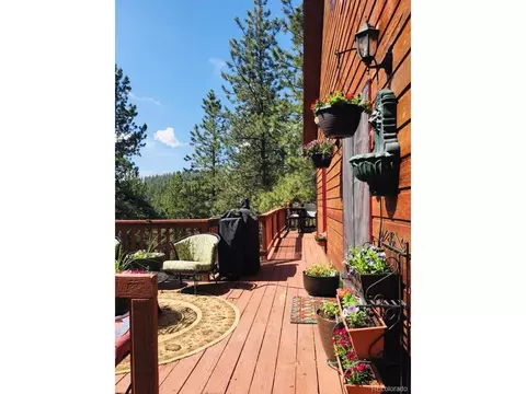 853 Brookside Dr, Bailey, CO 80421 photo 18