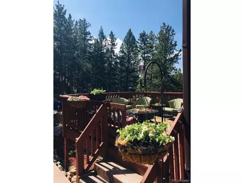 853 Brookside Dr, Bailey, CO 80421 photo 7