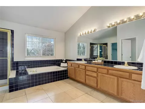 19058 E Hickock Dr, Parker, CO 80134 photo 26